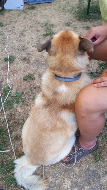 ../fotos/het_verlaat_2018/2018-08-05 10.37.26.jpg